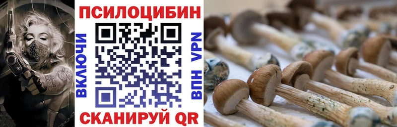 Галлюциногенные грибы GOLDEN TEACHER  Дербент 