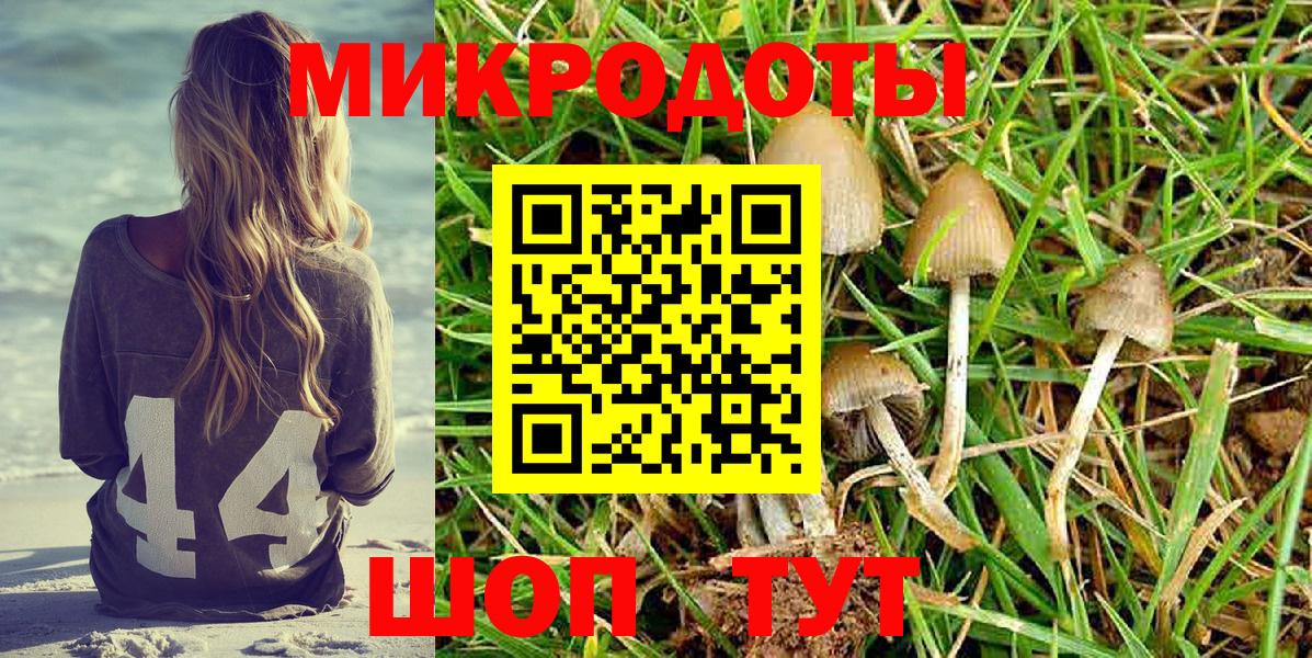 Псилоцибиновые грибы прущие грибы Дербент