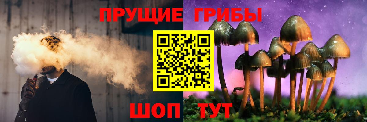 Галлюциногенные грибы Psilocybine cubensis  Вход с VPN  Дербент 