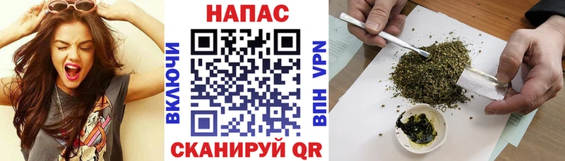 Канабис SATIVA & INDICA  купить закладку  Дербент 